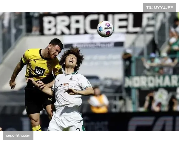 多特蒙德主场优势分析，门兴客场战术部署挑战